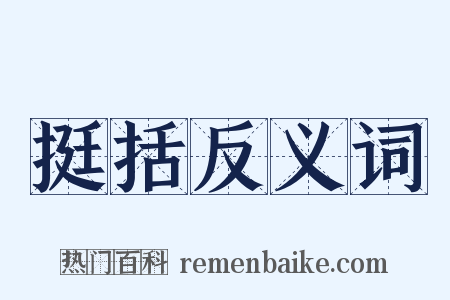 挺括反义词是什么意思的图片